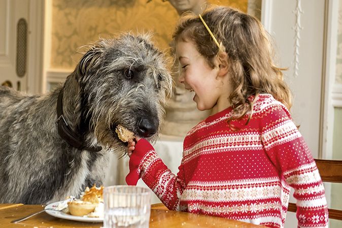 Irish Wolfhound with a small girl