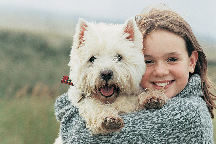 West Highland White Terrier with owner